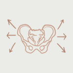 expanding pelvis logo from core moms blog